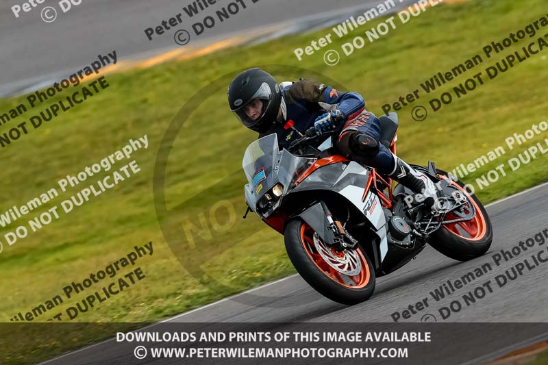 PJ Motorsport 2019;anglesey no limits trackday;anglesey photographs;anglesey trackday photographs;enduro digital images;event digital images;eventdigitalimages;no limits trackdays;peter wileman photography;racing digital images;trac mon;trackday digital images;trackday photos;ty croes